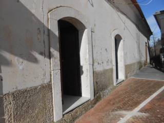 Zona