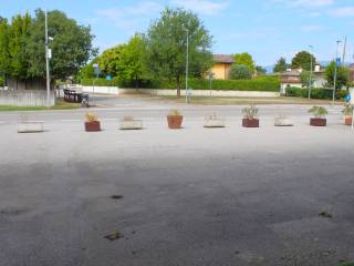 Zona