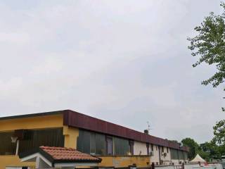 Zona
