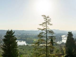 Vista