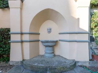 Zona