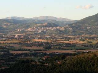 Vista
