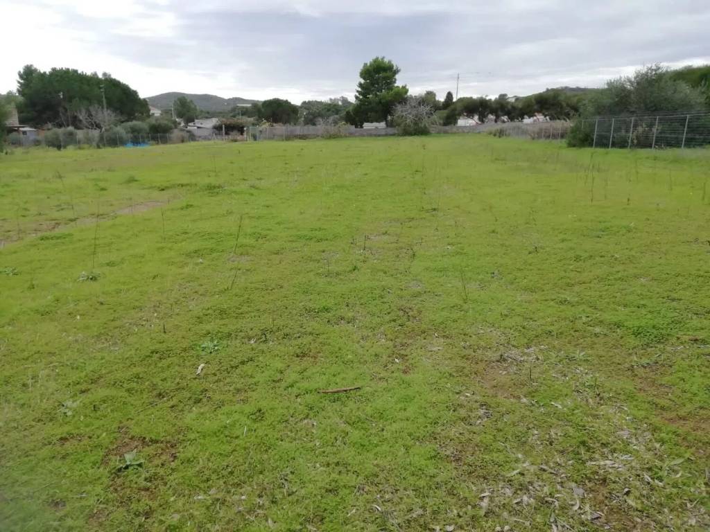 Terreno agricolo loc segni, carloforte
