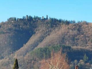 Vista