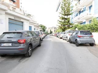 Zona