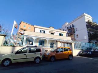 Zona