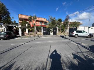 Zona