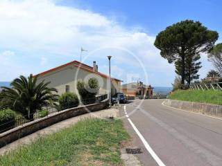 Zona