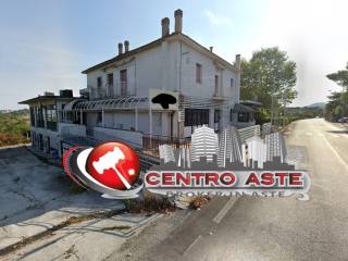 Zona