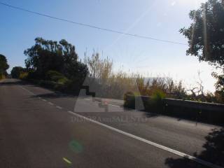 Zona