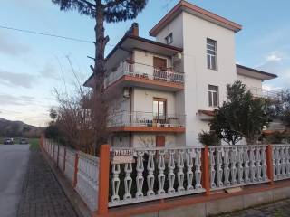 Zona