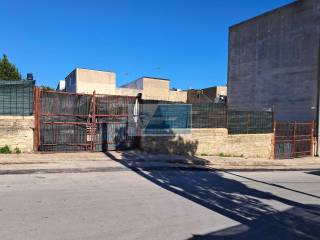 Zona