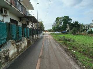 Zona