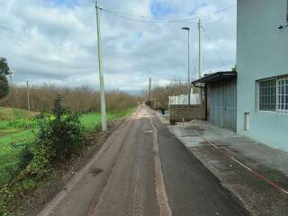 Zona