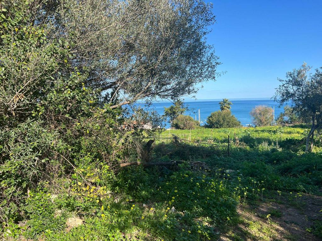 Terreno agricolo ss113, caronia