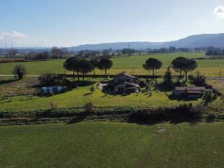 Vista