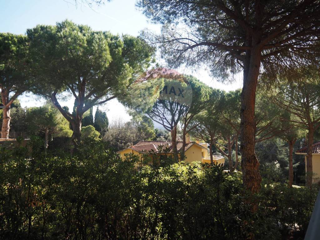 Vista