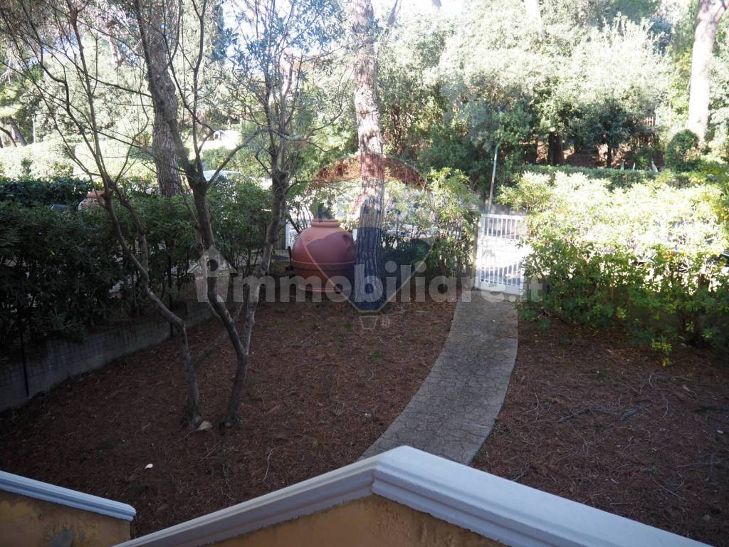 Giardino