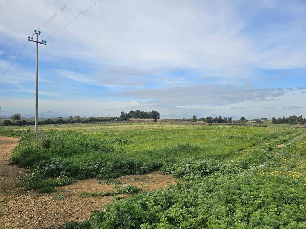 Terreno