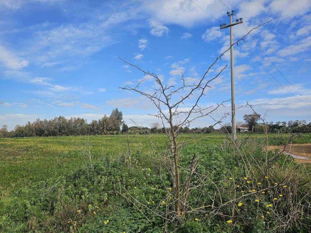Terreno