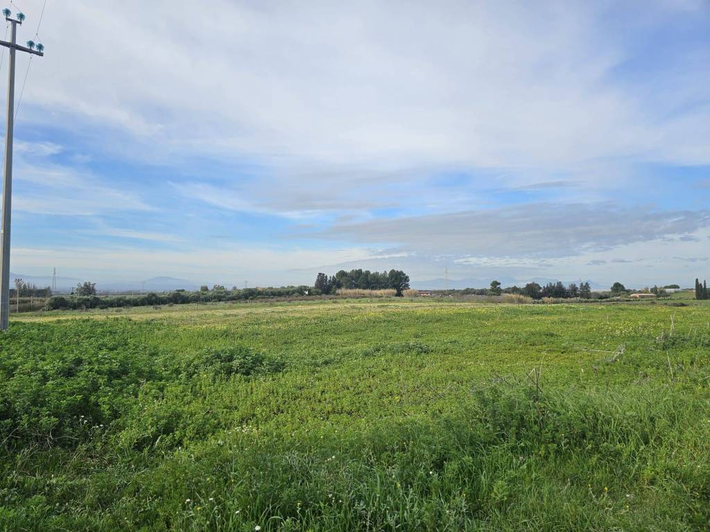 Terreno