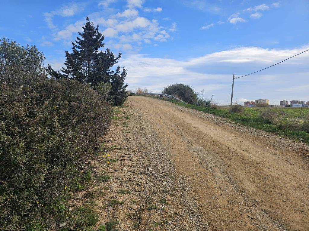 Terreno