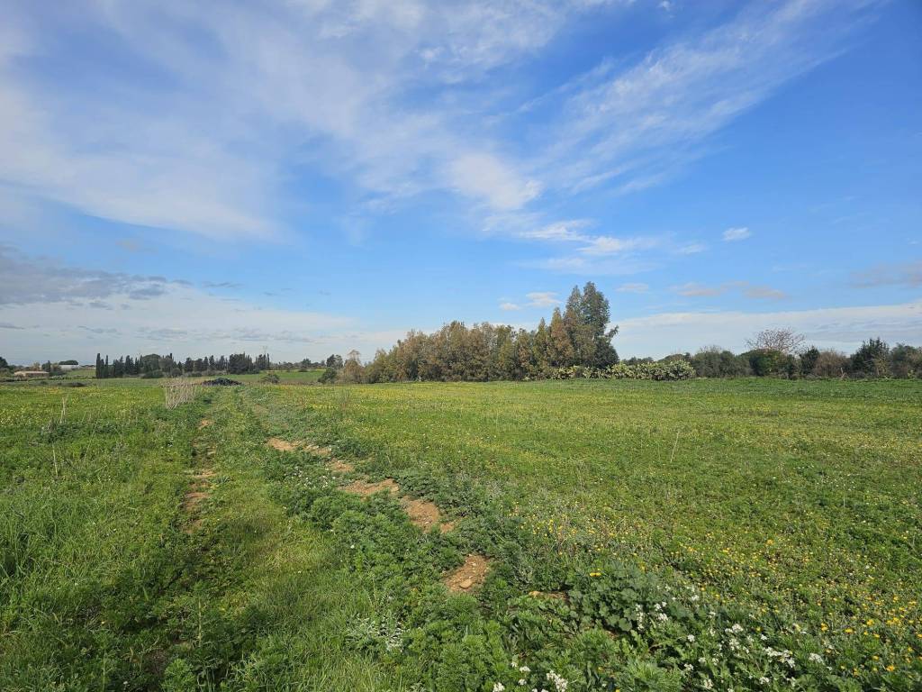 Terreno