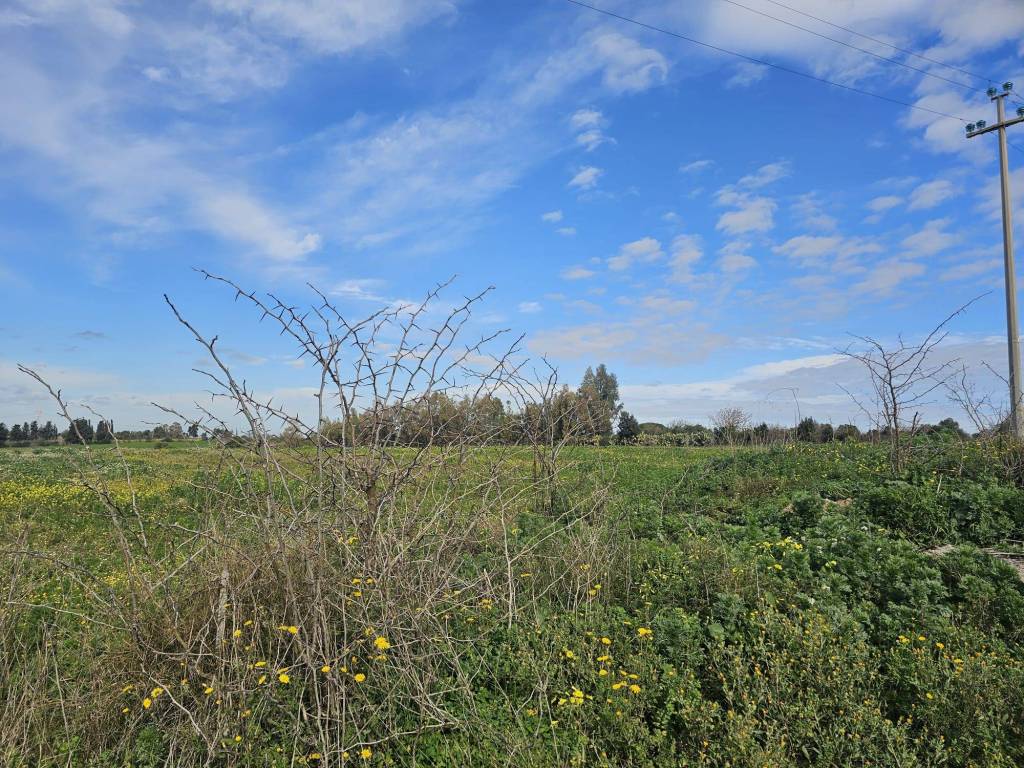 Terreno