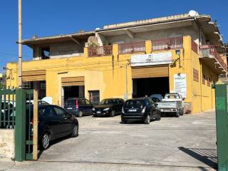 Zona