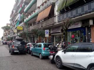 Zona
