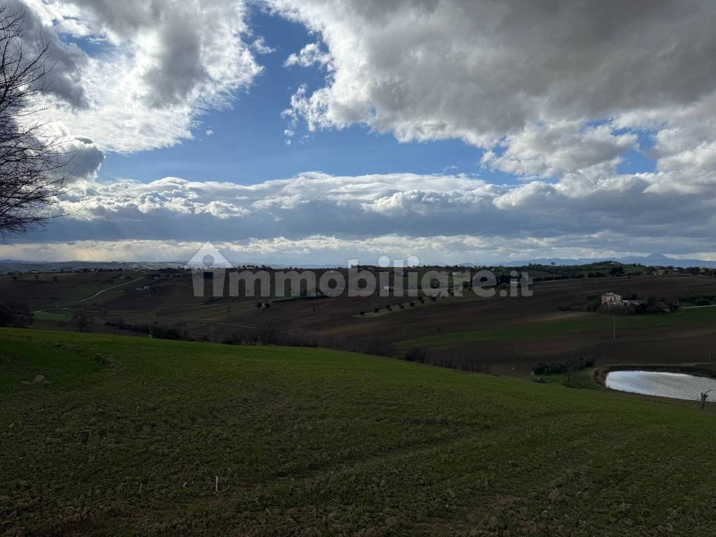 Vista