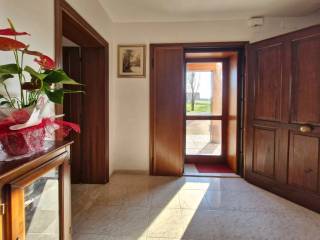 Ingresso