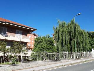 Zona