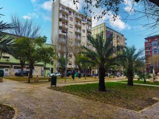 Zona