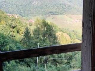 Vista