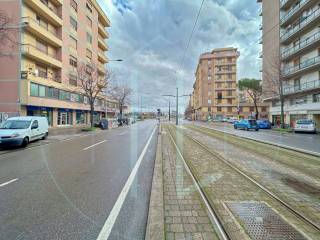 Zona
