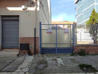 Zona
