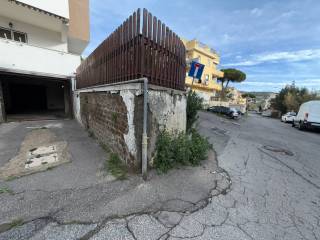 Zona