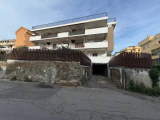 Zona