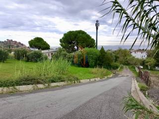 Zona