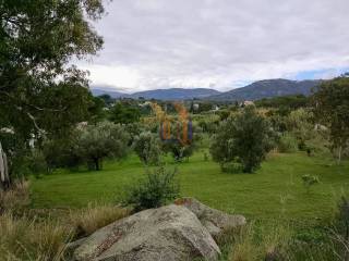 Vista