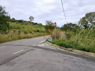 Zona