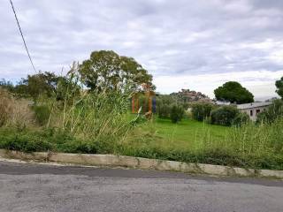 Zona