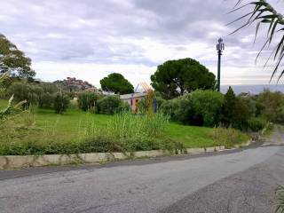 Zona
