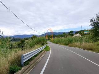 Zona