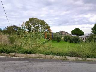Zona