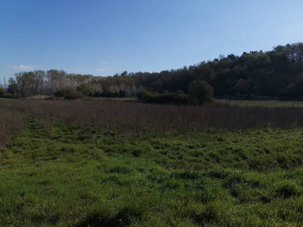 Terreno agricolo via del puntone, puntone, bientina
