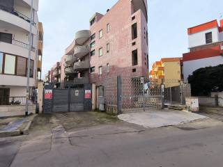 Zona
