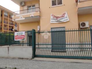 Zona