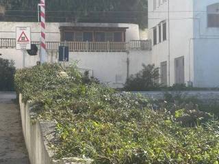 Zona